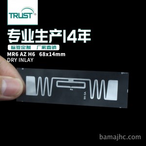 AZ-H6 MR6 干inlay